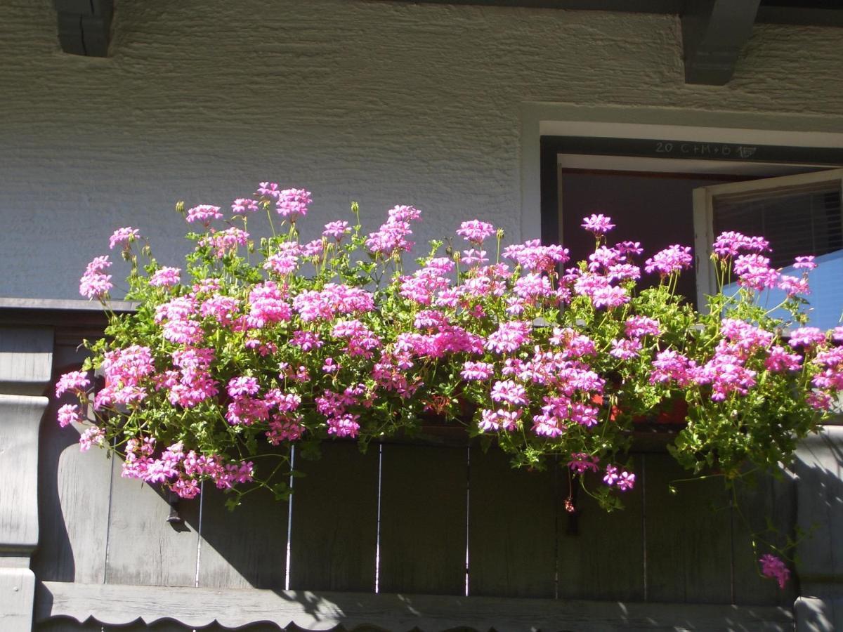 Apartamento Meckyheim Mayrhofen Exterior foto